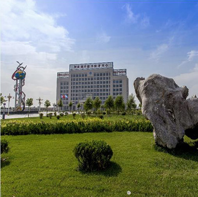 滄州維智達美制藥有限公司